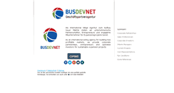 Desktop Screenshot of busdevnet.com